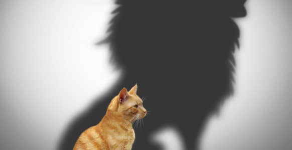 Self-Expression Through Hypnosis Self-Expression Through Hypnosis