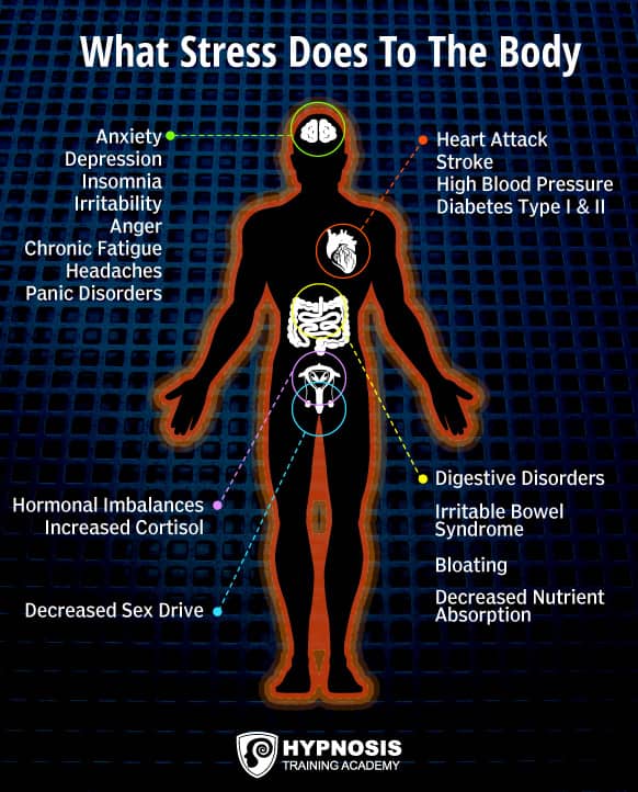 what stress does body